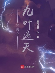 ����֮��Ҷ����