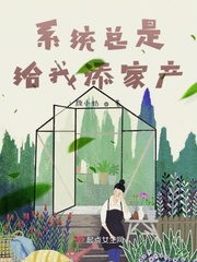 ϵͳ���Ǹ������Ҳ�